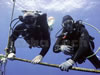 twinset diver on shot